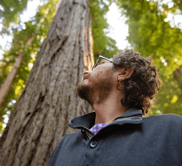 Man looking up in tree in forest