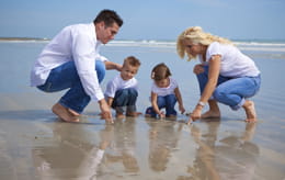 family searches for shells on a beach